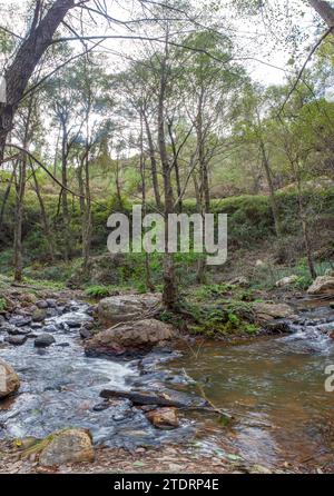 Fiume Ruecas che scorre attraverso i paesaggi geopark Villuercas, Caceres, Extremadura, Spagna Foto Stock