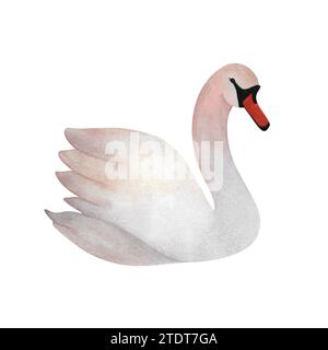 Acquerello bianco cigno disegnato a mano con un grazioso uccello decorato con animali, inviti a nozze, decorazioni per bambini 2024, loghi, cartoline Foto Stock