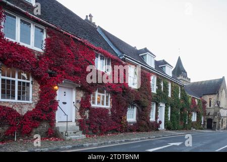 Inghilterra, West Sussex, Midhurst, Autumn Leaves Foto Stock