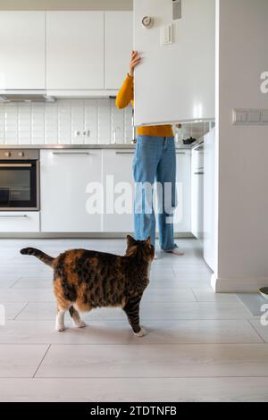 Il proprietario di un animale domestico si prende cura dell'apertura del frigorifero per trattare un adorabile gatto. Soffice animale domestico in attesa di pasto Foto Stock