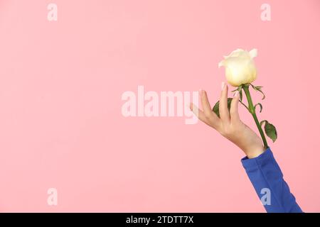 Mano femminile con bella rosa bianca su sfondo rosa Foto Stock