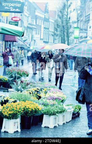 Scuderia di fiori nella Grote Houtstraat vicino alla Proveniershuis., Haarlem, Generaal Cronjéstraat, Nederland, Whizgle News from the Past, su misura per il futuro. Esplora le narrazioni storiche, l'immagine dell'agenzia olandese olandese con una prospettiva moderna, colmando il divario tra gli eventi di ieri e quelli di domani. Un viaggio senza tempo che delinea le storie che plasmano il nostro futuro Foto Stock