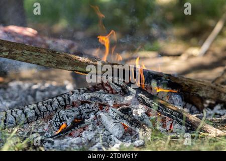 cenere da un barbecue in campagna Foto Stock