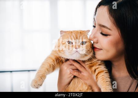 Il momento tenero di una donna con il suo adorabile gattino a pelo lungo, un gatto scozzese arancione. E' vero Foto Stock