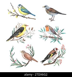 Uccelli su rami con foglie e fiori. Illustrazione ad acquerello in stile retrò. Collezione di elementi di design disegnati a mano isolati su sfondo bianco Foto Stock