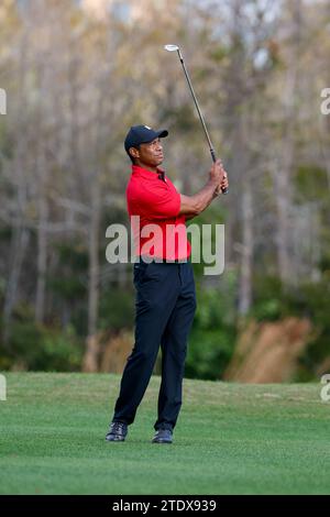 Orlando, Florida, USA. 17 dicembre 2023. Tiger Woods durante il round finale del torneo di golf PNC Championship al Ritz-Carlton Golf Club di Orlando, Florida. Darren Lee/CSM/Alamy Live News Foto Stock