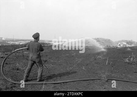 Duna antincendio, Wijk a. Zee, incendi, vigili del fuoco, Wijk aan Zee, Jan van Kuikweg, 11-08-1969, Whizgle News from the Past, su misura per il futuro. Esplora le narrazioni storiche, l'immagine dell'agenzia olandese olandese con una prospettiva moderna, colmando il divario tra gli eventi di ieri e quelli di domani. Un viaggio senza tempo che delinea le storie che plasmano il nostro futuro. Foto Stock