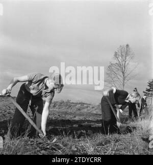 Ragazzi che lavorano in un campo, scavando sporco, CA. Ottobre 1945 Foto Stock