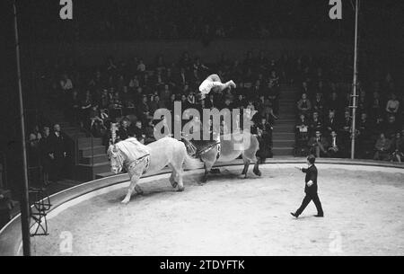 Anteprima del circo Althof a Carre, i fratelli Enders sui cavalli ca. 20 dicembre 1962 Foto Stock