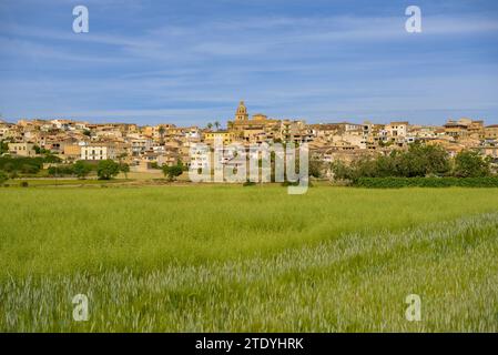 Villaggio di Montuiri e campi coltivati vicino al villaggio, verde in primavera (Maiorca, Isole Baleari, Spagna) ESP: Pueblo de Montuiri y campos rurales Foto Stock