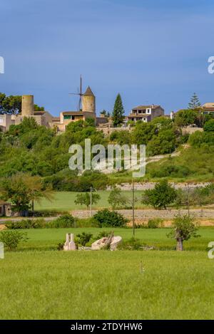 Villaggio di Montuiri e campi coltivati vicino al villaggio, verde in primavera (Maiorca, Isole Baleari, Spagna) ESP: Pueblo de Montuiri y campos rurales Foto Stock