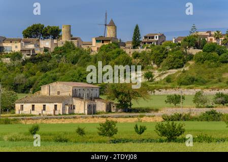 Villaggio di Montuiri e campi coltivati vicino al villaggio, verde in primavera (Maiorca, Isole Baleari, Spagna) ESP: Pueblo de Montuiri y campos rurales Foto Stock
