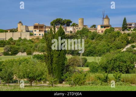 Villaggio di Montuiri e campi coltivati vicino al villaggio, verde in primavera (Maiorca, Isole Baleari, Spagna) ESP: Pueblo de Montuiri y campos rurales Foto Stock