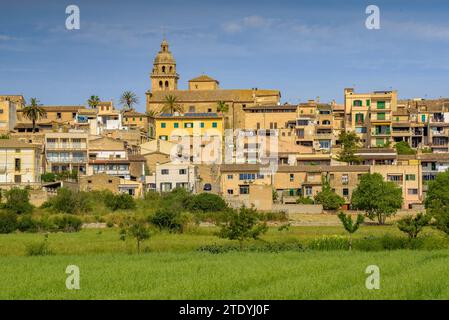 Villaggio di Montuiri e campi coltivati vicino al villaggio, verde in primavera (Maiorca, Isole Baleari, Spagna) ESP: Pueblo de Montuiri y campos rurales Foto Stock