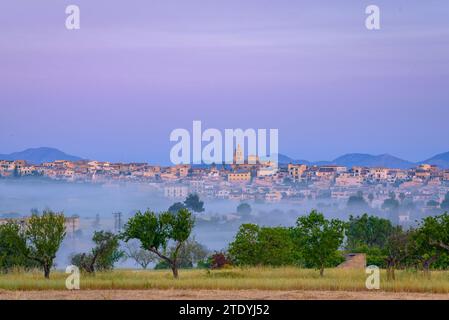 Villaggio di Montuiri e campi coltivati vicino al villaggio, in un'alba primaverile (Maiorca, Isole Baleari, Spagna) ESP: Pueblo de Montuiri y campos Foto Stock