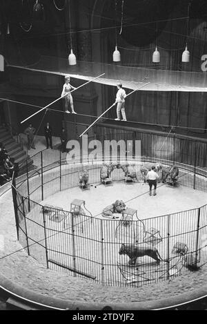 Anteprima del circo Althof a Carre ca. 20 dicembre 1962 Foto Stock