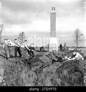 Ragazzi che scavano ceppi di alberi. Sullo sfondo un camino CA. Ottobre 1945 Foto Stock