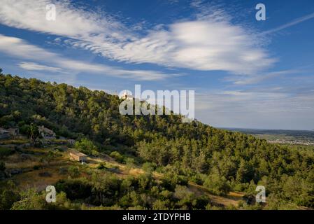 Montagna e santuario di Bonany visto dal monte in un pomeriggio primaverile (Maiorca, Isole Baleari, Spagna), spagnolo: Montaña y santuario de Bonany Foto Stock