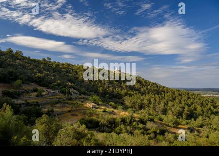 Montagna e santuario di Bonany visto dal monte in un pomeriggio primaverile (Maiorca, Isole Baleari, Spagna), spagnolo: Montaña y santuario de Bonany Foto Stock