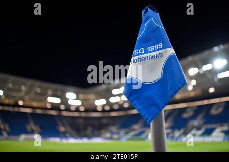 Sinsheim, Deutschland. 19 dicembre 2023. vor Spielbeginn: Eckfahne Logo TSG Hoffenheim Stadioninnenraum TSG 1899 Hoffenheim vs SV Darmstadt 98 D98 19.12.2023 LE NORMATIVE DFL VIETANO L'USO DI FOTOGRAFIE COME SEQUENZE DI IMMAGINI E/O QUASI-VIDEO/dpa/Alamy Live News Foto Stock