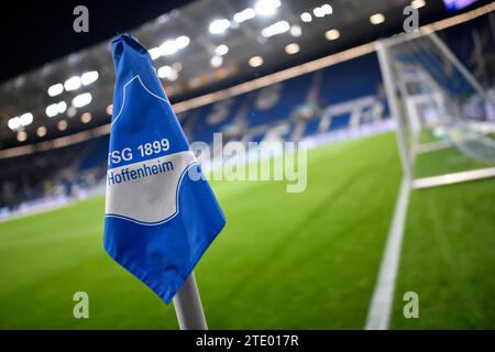 Sinsheim, Deutschland. 19 dicembre 2023. vor Spielbeginn: Eckfahne Logo TSG Hoffenheim Stadioninnenraum TSG 1899 Hoffenheim vs SV Darmstadt 98 D98 19.12.2023 LE NORMATIVE DFL VIETANO L'USO DI FOTOGRAFIE COME SEQUENZE DI IMMAGINI E/O QUASI-VIDEO/dpa/Alamy Live News Foto Stock