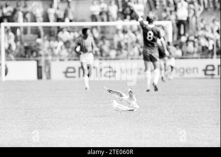 Haarlem - Robin Hood, Football Haarlem, 15-08-1976, Whizgle News from the Past, su misura per il futuro. Esplora le narrazioni storiche, l'immagine dell'agenzia olandese olandese con una prospettiva moderna, colmando il divario tra gli eventi di ieri e quelli di domani. Un viaggio senza tempo che delinea le storie che plasmano il nostro futuro. Foto Stock