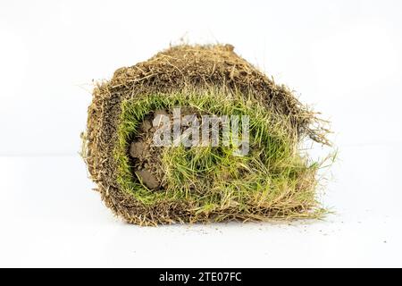 Striscia di erba arrotolata con radici e sporcizia isolate su sfondo bianco Foto Stock