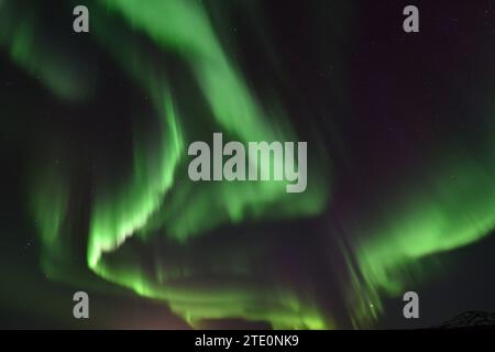 Aurora boreale durante un'esposizione molto attiva al Parco Nazionale di Thingvellir, Islanda Foto Stock