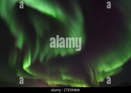 Aurora boreale durante un'esposizione molto attiva al Parco Nazionale di Thingvellir, Islanda Foto Stock