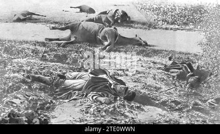 07/31/1914. Le tracce della guerra. Cadaveri di soldati belgi e corpi di cavalli morti nei dintorni di Haelen, dopo la tremenda battaglia che vi fu combattuta. Crediti: Album / Archivo ABC / Meurisse Foto Stock