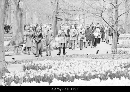 Busy Keukenhof, Busy, Keukenhof Foundation estate a Lisse, 11-04-1977, Whizgle News from the Past, su misura per il futuro. Esplora le narrazioni storiche, l'immagine dell'agenzia olandese olandese con una prospettiva moderna, colmando il divario tra gli eventi di ieri e quelli di domani. Un viaggio senza tempo che delinea le storie che plasmano il nostro futuro. Foto Stock