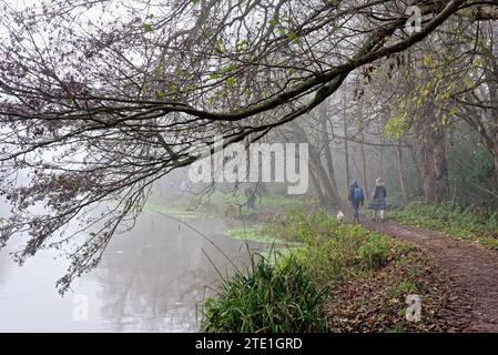 Il canale di navigazione del fiume Wey in una giornata invernale fredda e nebbiosa Weybridge Surrey Inghilterra Regno Unito Foto Stock