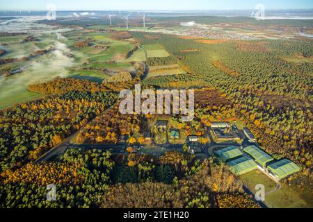 Vista aerea, foresta e nuvole di nebbia nella vecchia zona delle caserme sul Westruper Straße, turbine eoliche sullo sfondo, circondate da decidue autunnali Foto Stock