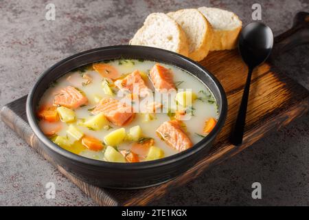 Zuppa cremosa con pesce rosso, patate, cipolle, carote, sedano e aneto verde in una ciotola sul piatto da portata. Orizzontale Foto Stock