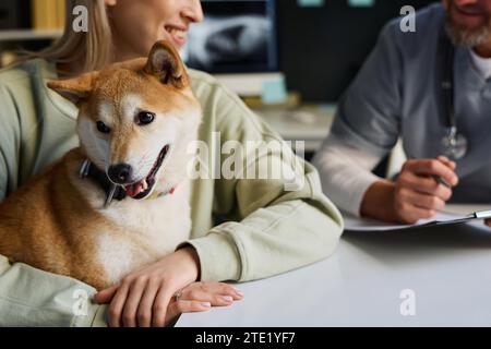 Purosangue cane shiba inu seduto con il suo proprietario su appuntamento in una clinica veterinaria Foto Stock
