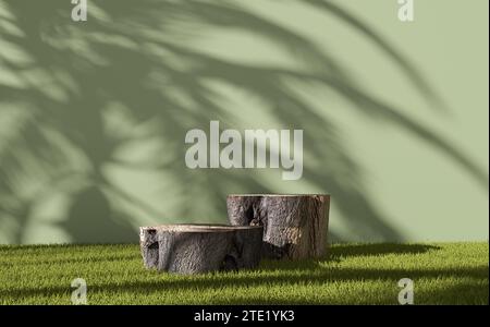 Palchi per tronchi d'albero o podi sull'erba verde di un giardino per l'esposizione di prodotti naturali. Soleggiata atmosfera estiva all'aperto con l'ombra delle foglie di palma Foto Stock