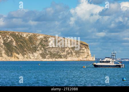 Scogliera di Ballard Cliff di gesso bianco vista da Swanage. Dorset, Inghilterra Foto Stock