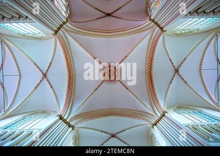 St La Cattedrale del Salvatore, conosciuta anche come la Cattedrale del Salvatore e la Cattedrale di San Donat, è la cattedrale cattolica di Bruges, Fiandre, Belgio - int Foto Stock