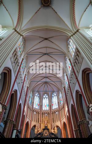 St La Cattedrale del Salvatore, conosciuta anche come la Cattedrale del Salvatore e la Cattedrale di San Donat, è la cattedrale cattolica di Bruges, Fiandre, Belgio - int Foto Stock