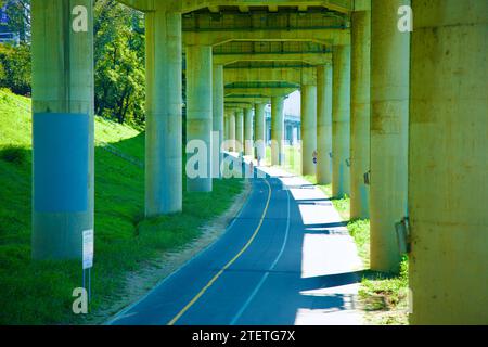 Namyangju City, Corea del Sud - 30 settembre 2023: Una prospettiva suggestiva lungo il sentiero sotto Gyeonggang Road, fiancheggiata da enormi pilastri di cemento, cre Foto Stock