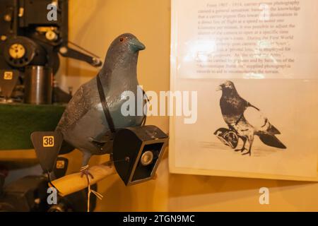 Inghilterra, West Sussex, Chichester, Tangmere Military Aviation Museum, esposizione della WWI Pigeon camera Foto Stock