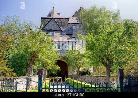 Castello di Runkel, vecchio ponte di Lahn, Runkel sul Lahn, Assia, Germania, Europa Foto Stock