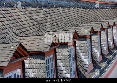 Tetto in ardesia con vetri dormitori, castello di Weilburg, Weilburg, Assia, Germania, Europa Foto Stock