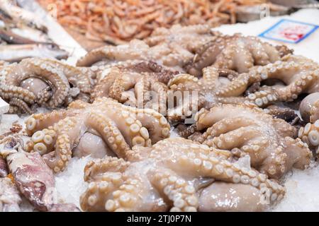 Polpi crudi freschi che si trovano sul banco del ghiaccio al mercato del pesce di Atene, Grecia. Scaffale aperto con crostacei al mercato del pesce. Primo piano Foto Stock