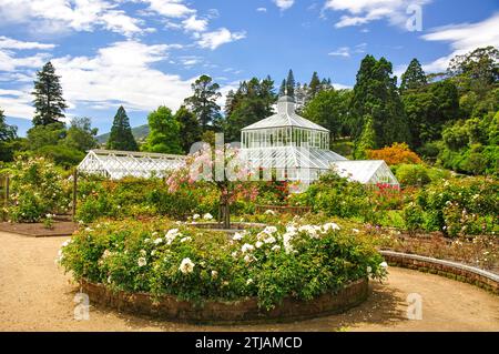 Giardino invernale di Serra da giardini di rose, Dunedin Botanical Gardens, Dunedin, Otago, Isola del Sud, Nuova Zelanda Foto Stock