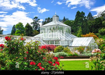 Giardino invernale di Serra da giardini di rose, Dunedin Botanical Gardens, Dunedin, Otago, Isola del Sud, Nuova Zelanda Foto Stock