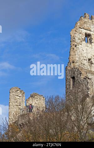 Rovine del castello, roccia del drago, Königswinter, Renania settentrionale-Vestfalia, Germania Foto Stock