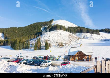 Parco nazionale Gesäuse: Skilift Kaiserau, sci alpino, neve a Gesäuse, Steiermark, Stiria, Austria Foto Stock