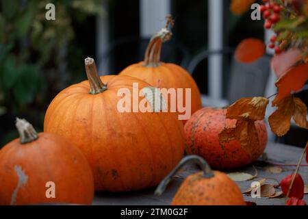 Decorazioni autunnali con zucche. Decorazioni autunnali per il giardino. Zucche su un tavolo di legno in giardino. Halloween, Ringraziamento. Foto Stock