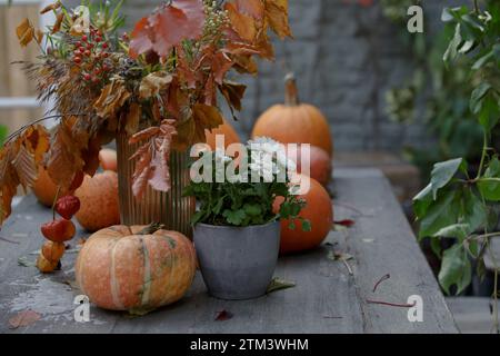 Zucche su un tavolo di legno in giardino. Zucca e foglie autunnali. Tavolo per le feste a tema autunnale. Decorazioni di Halloween con pumpki arancione Foto Stock